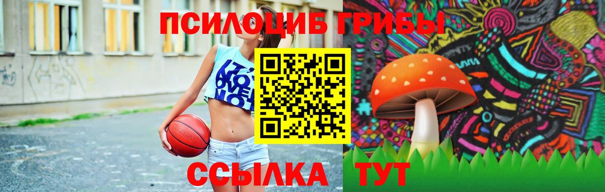 Псилоцибиновые грибы прущие грибы Урюпинск